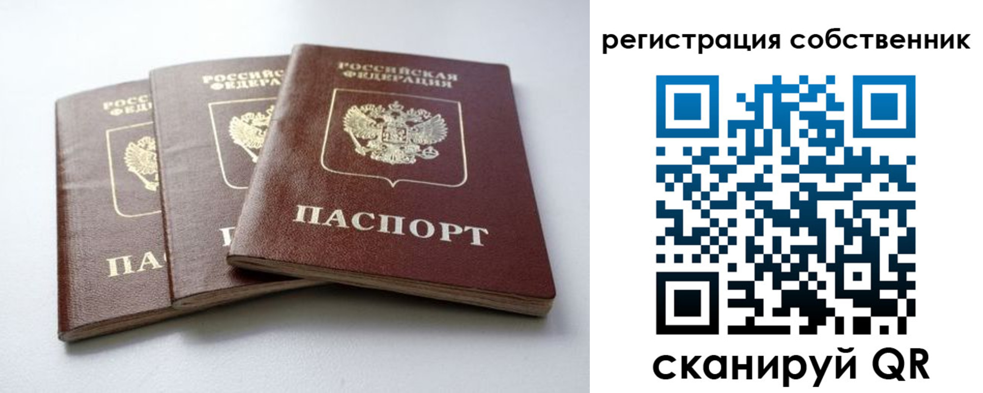 прописка для школы в Емве